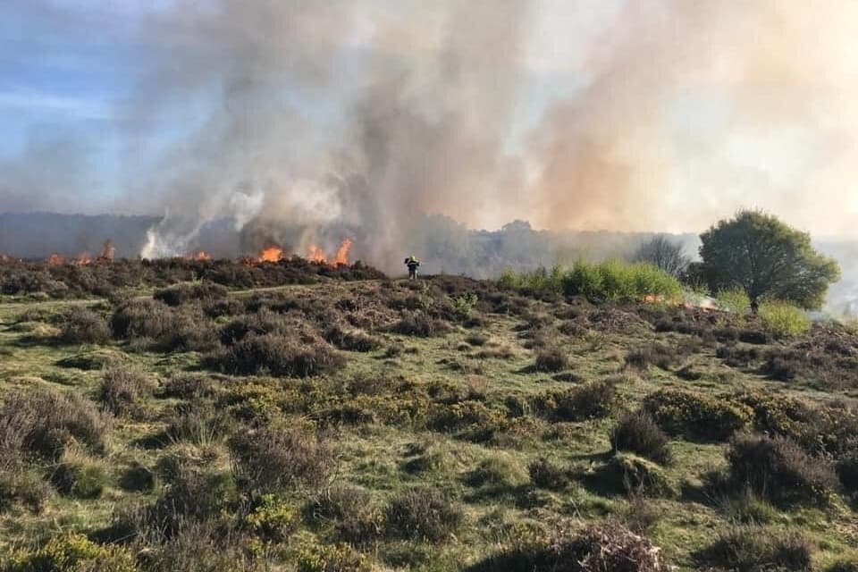 Boy, 11, arrested on suspicion of attempted arson after Staffordshire fires