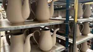 £120m for pottery firms a “good start” but more must follow says Stoke MP