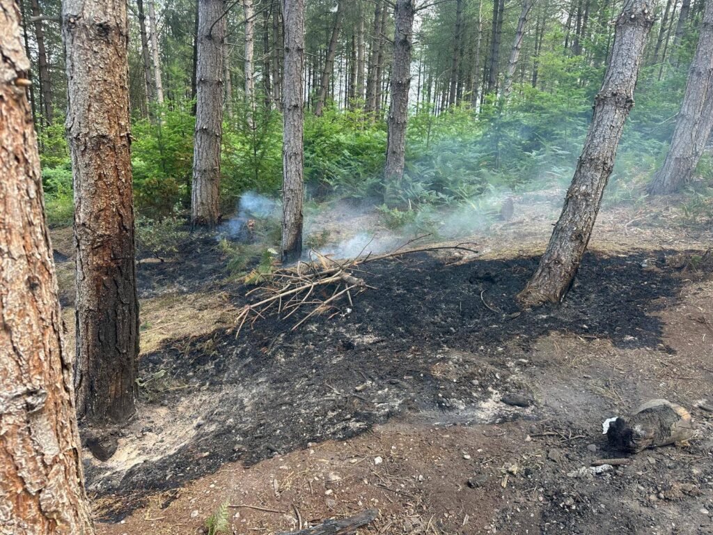 Visitors reminded of wildfire risk in Staffordshire’s country parks